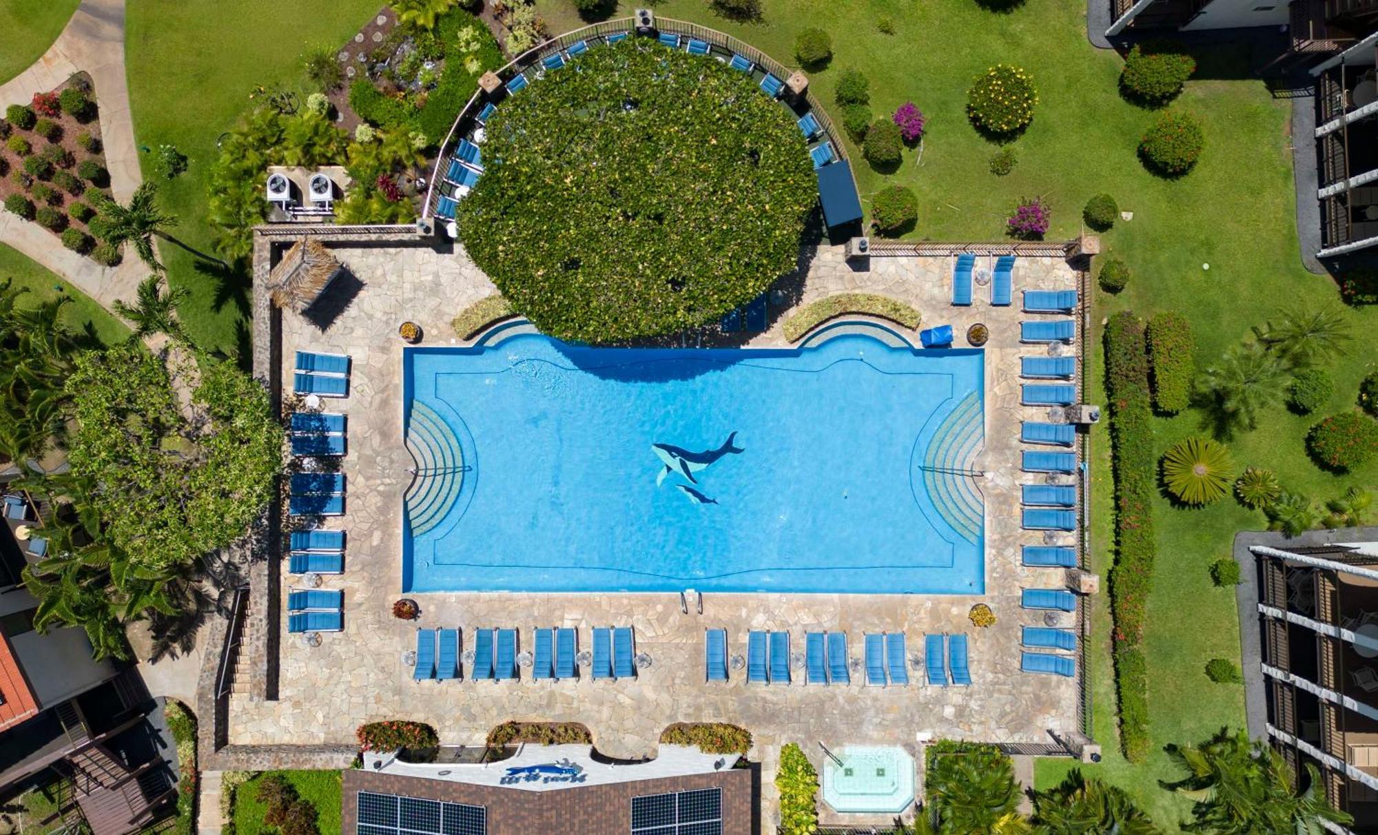 Aston Maui Hill Wailea (Maui) Exterior foto